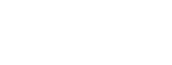 Logo NETOPIA Payments